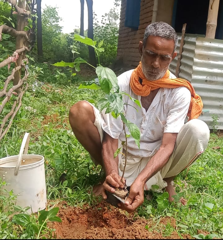 Brikkho Ropon — tree planting
