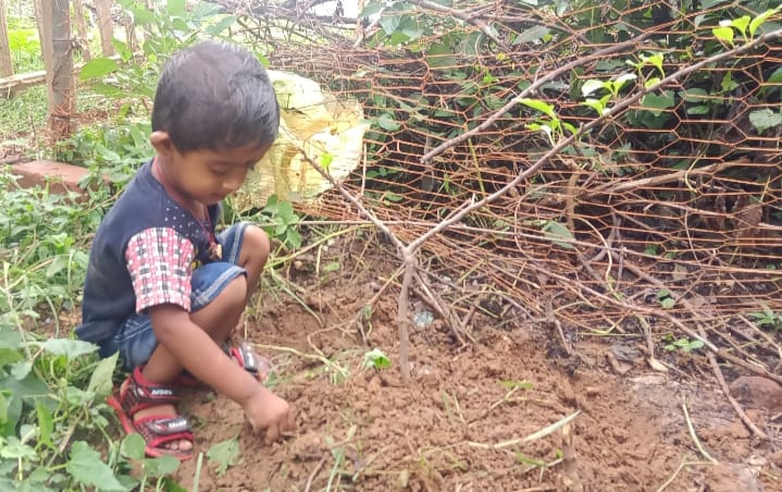 Brikkho Ropon — tree planting