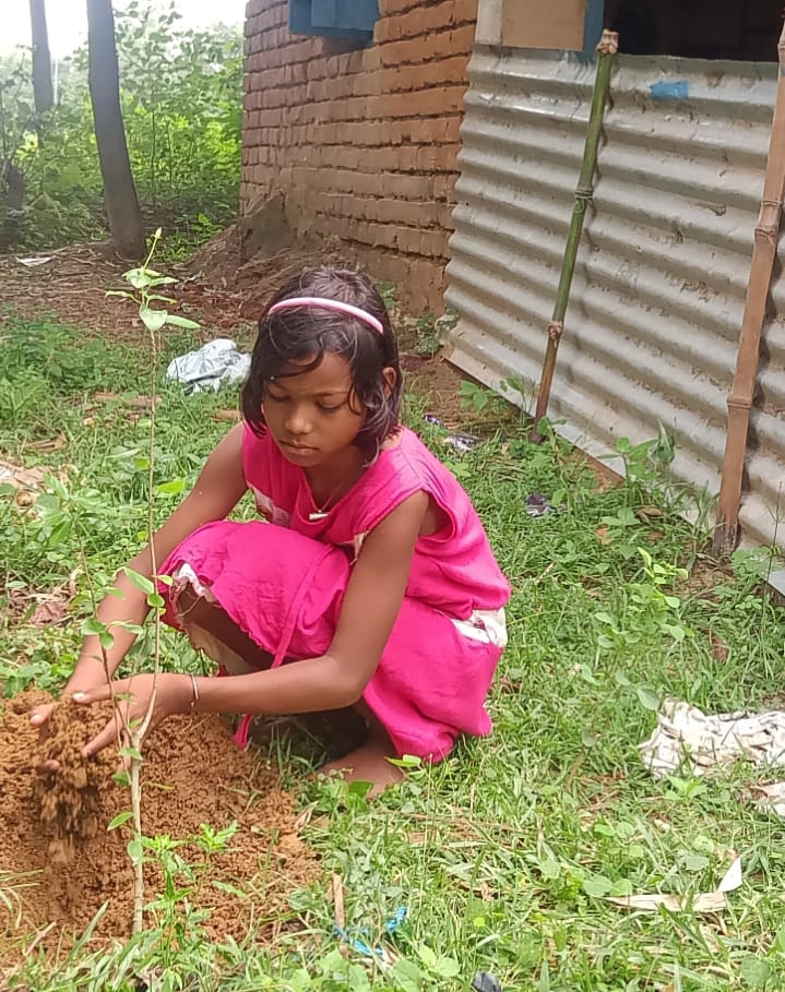 Brikkho Ropon — tree planting
