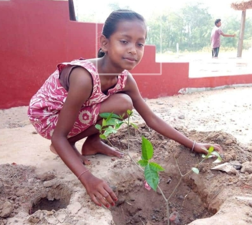 Brikkho Ropon — tree planting